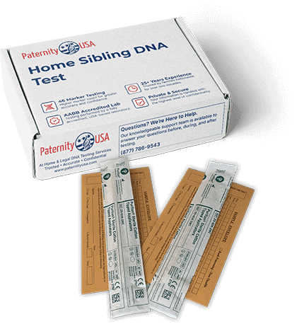 DNA test kit