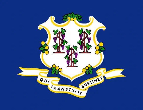 Connecticut flag