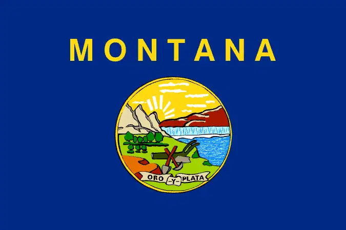 Montana flag