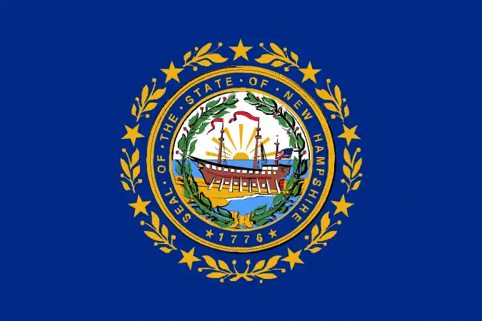 New Hampshire flag